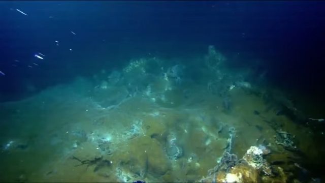 Underwater Volcano In West Indies May Erupt Soon | I AM A JAMAICAN